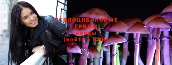 ПСИЛОЦИБИНОВЫЕ ГРИБЫ Надым