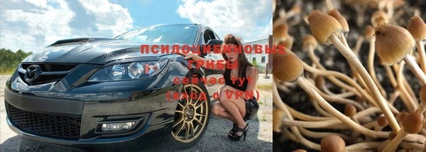 ПСИЛОЦИБИНОВЫЕ ГРИБЫ Надым