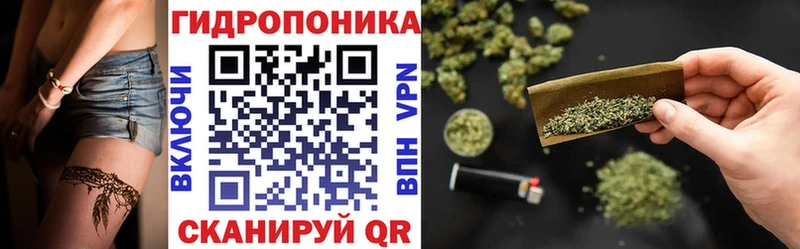 Каннабис сатива  наркошоп  Удачный 